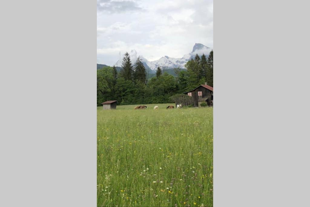 モリヨン Chalet Alliance Entre Calme Et Plaisirヴィラ エクステリア 写真